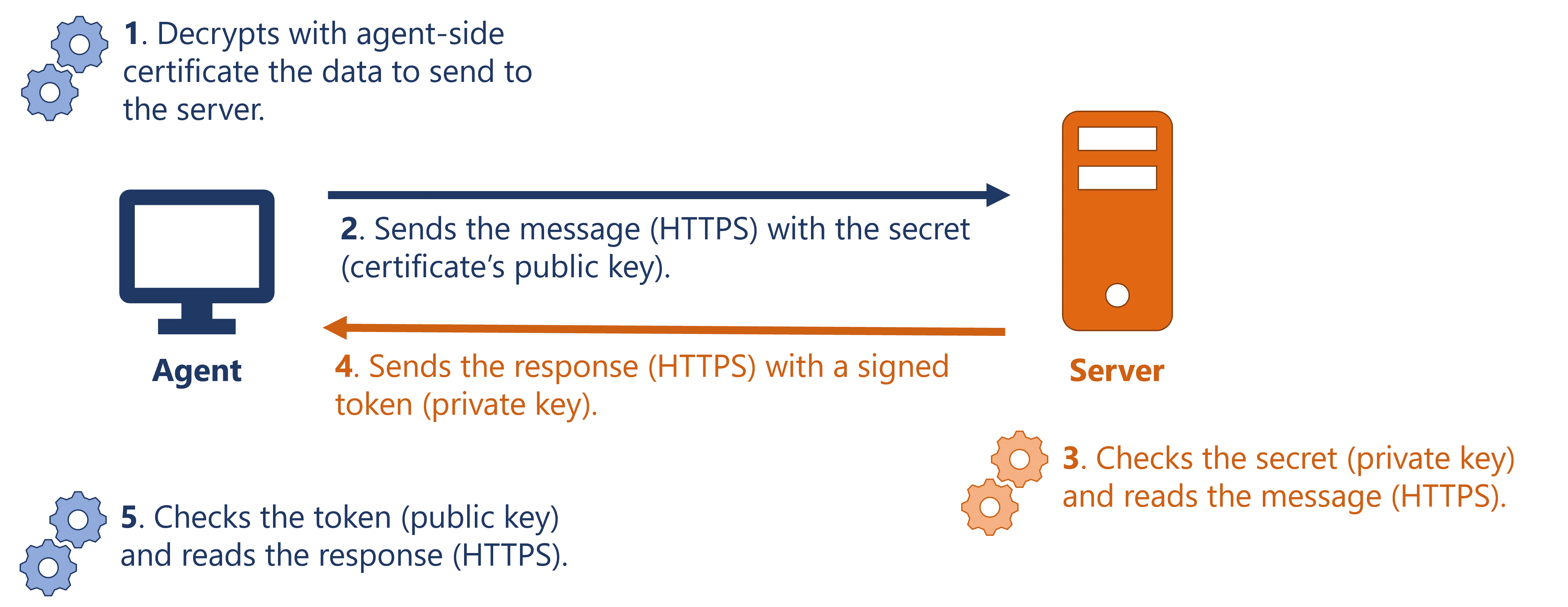 Schema: Agent/Server Communication