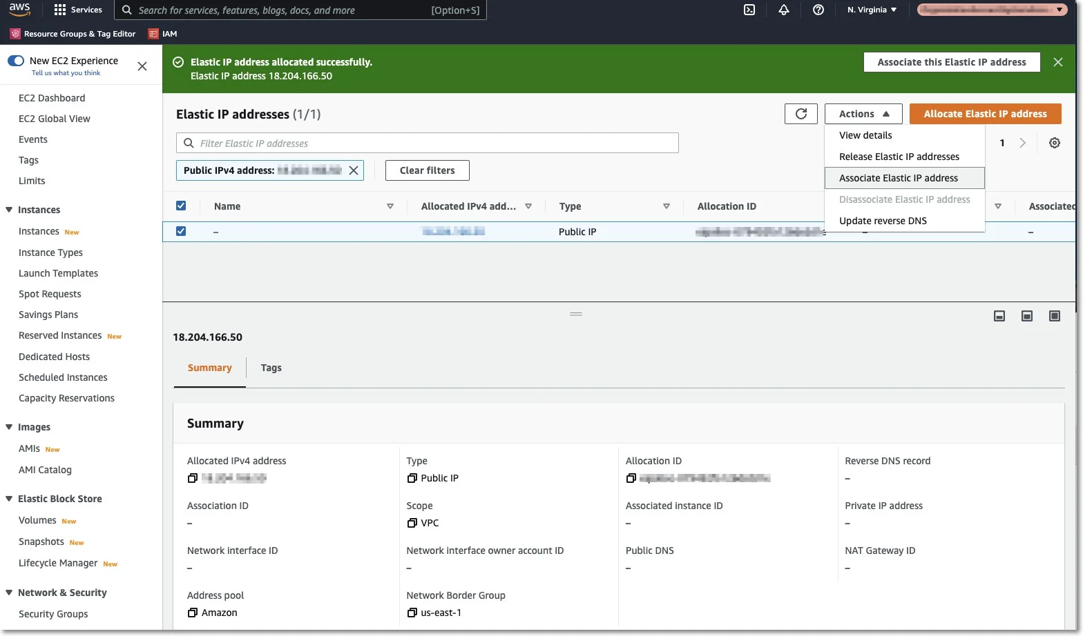 Associating the Elastic IP with your Instance.