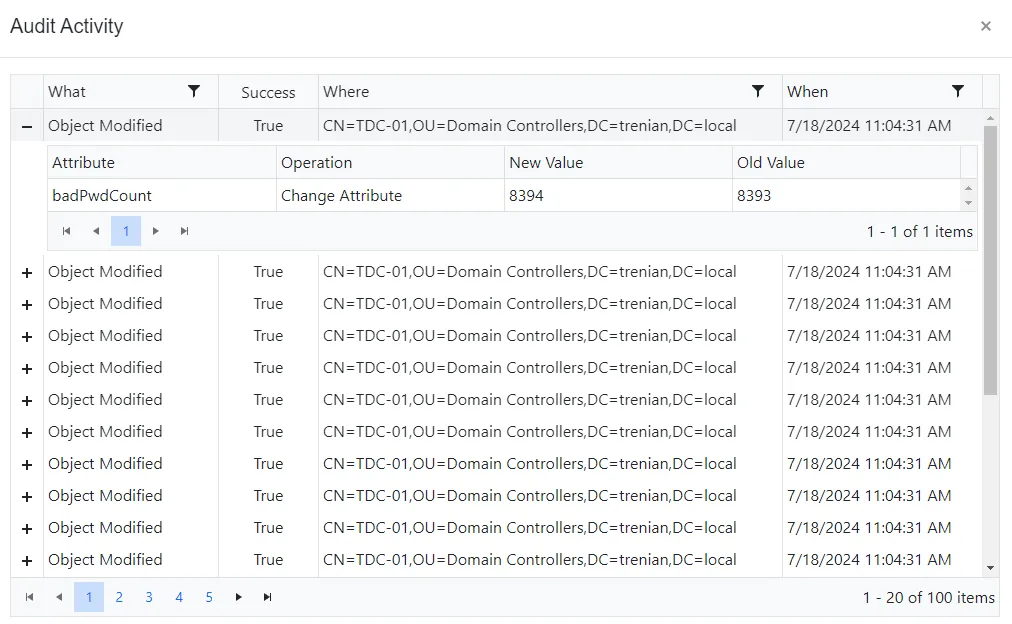 Audit Activity window