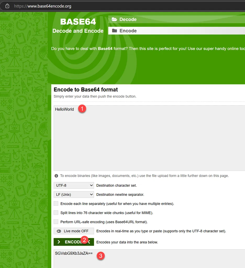 base64format