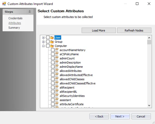 Custom Attributes Import Wizard Attributes page