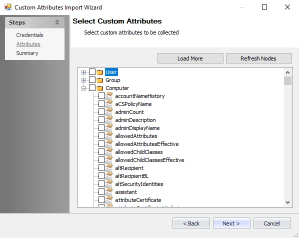 Custom Attributes Import Wizard Attributes page