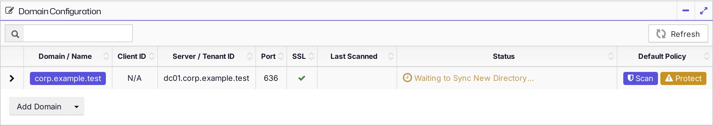 The Domain Configuration list with a domain and its default policy
