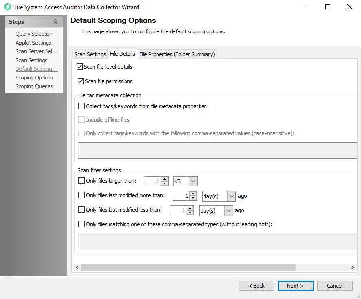 File Details tab of the Default Scoping Options page