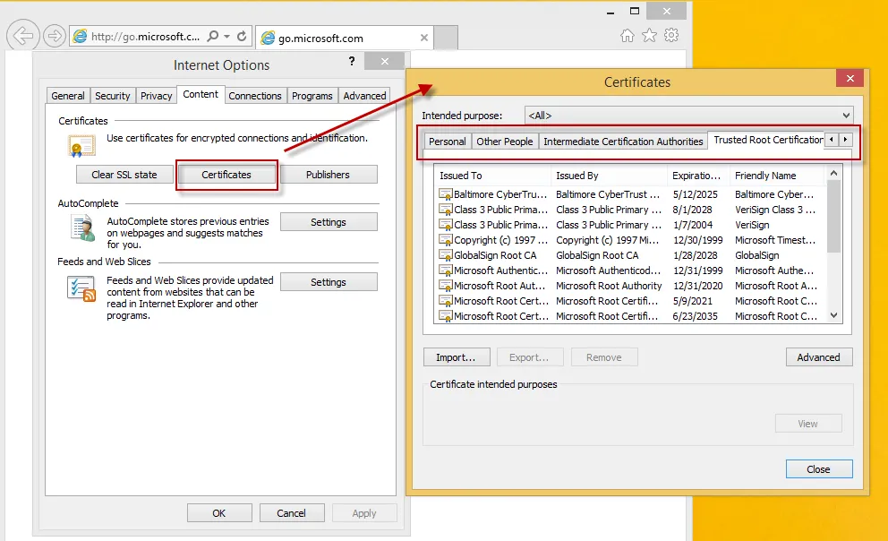 ie_appset_tab_by_tab_25