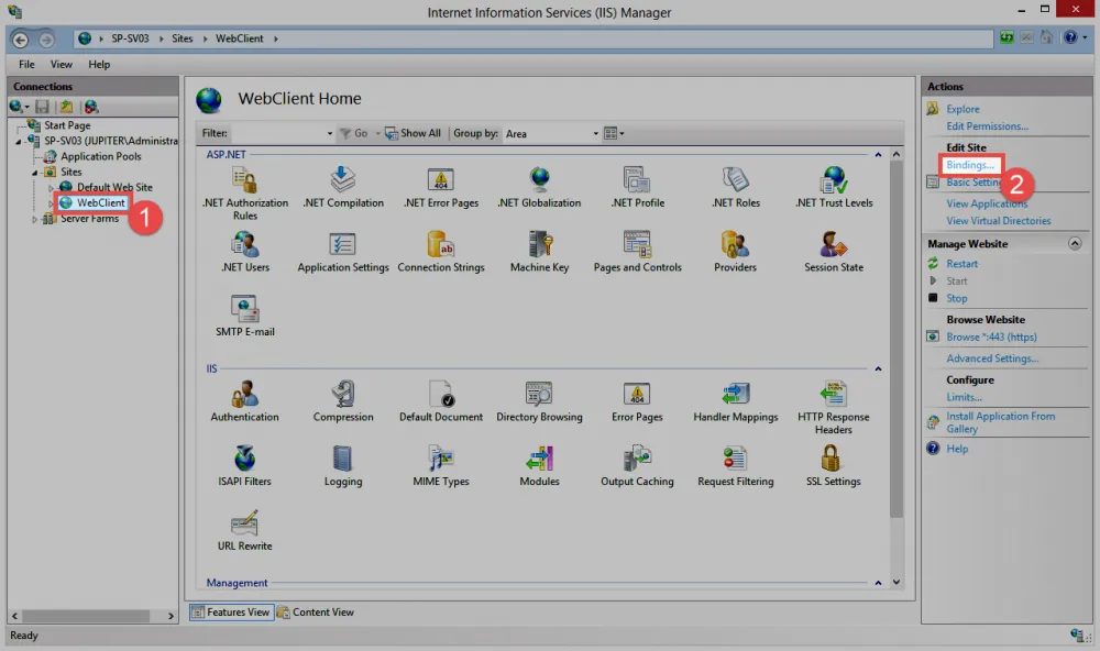 IIS