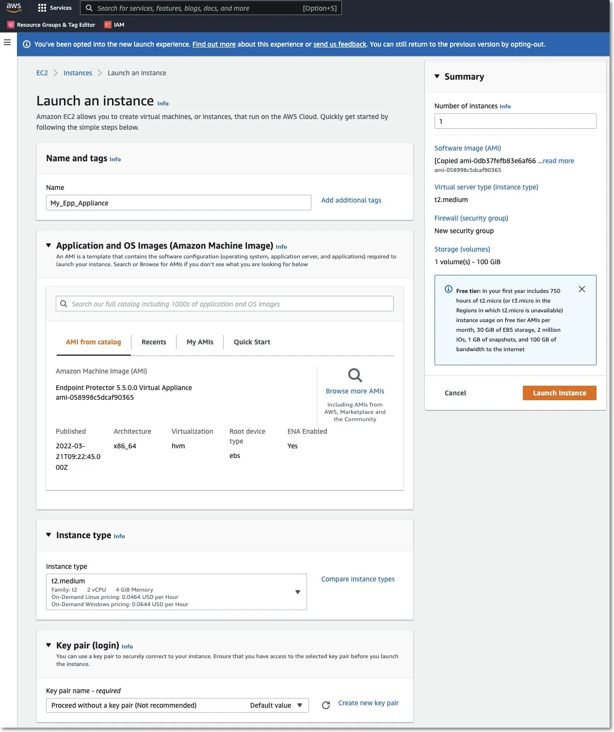 Launching AMI instances 