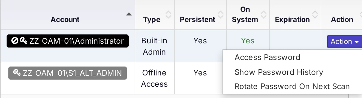 The Action menu for the built-in Administrator account with the password items