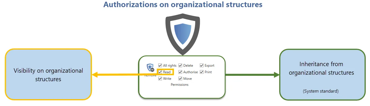Permissions for organizational structures