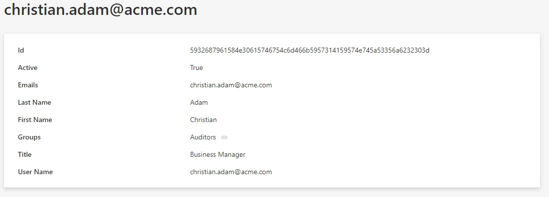 SCIM CyberArk Display Entity Type