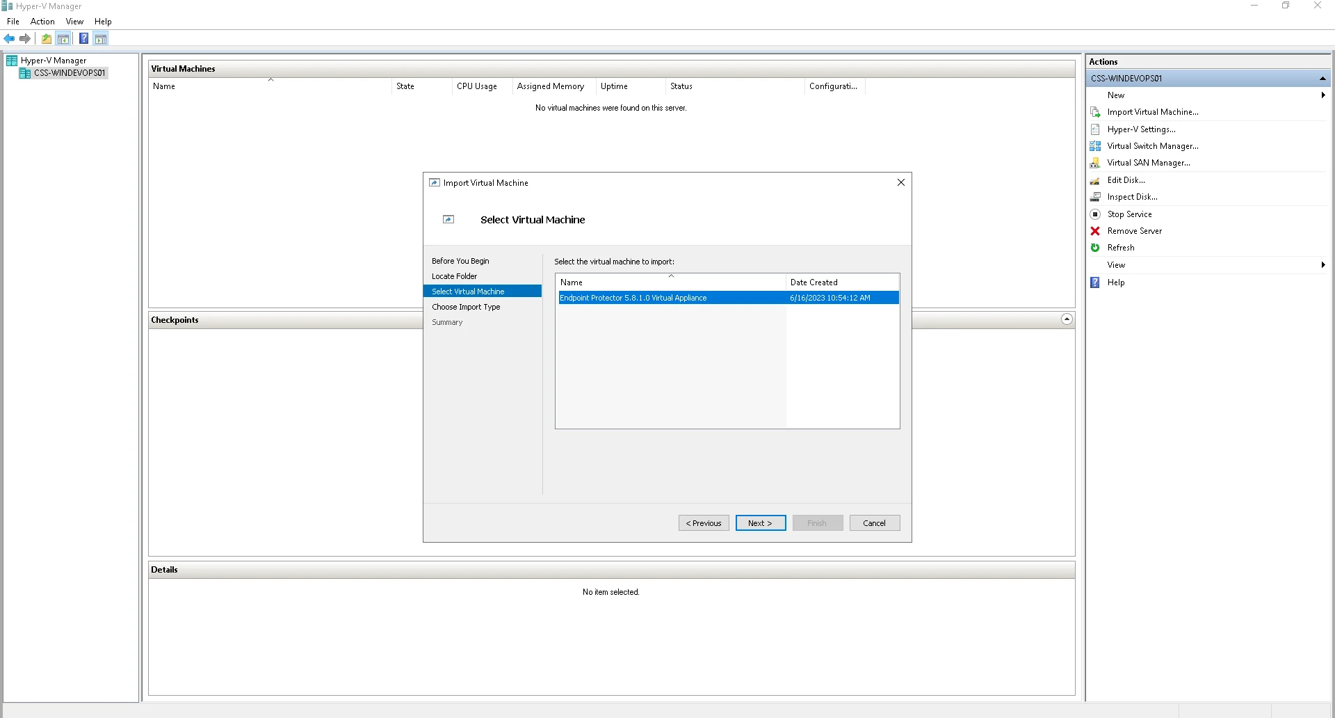 Selecting the Endpoint Protector Virtual Appliance