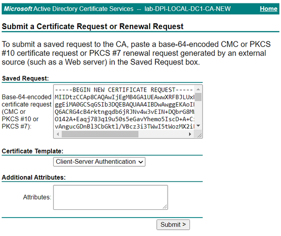 Certificate request submission form with fields filled