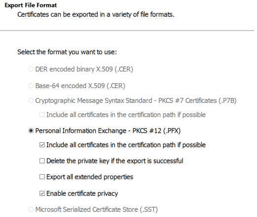 Export File Format options with PKCS #12 and checkboxes selected