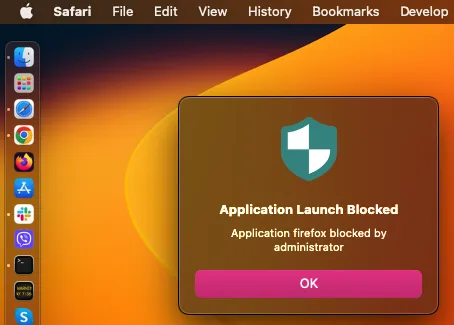 A screenshot of a computer
Description automatically generated